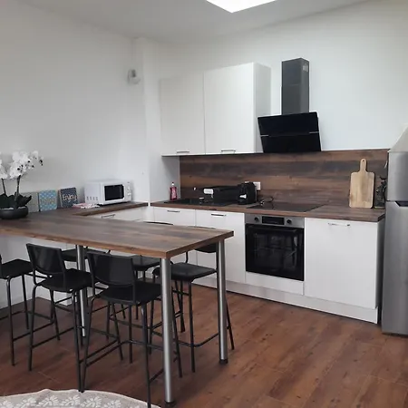Dans Petit Chateau En Centre Apartment *